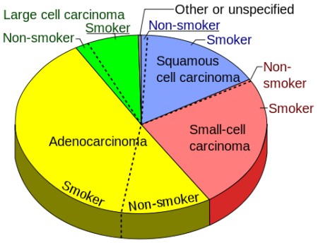 Second Hand Smoke Facts